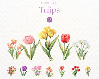 Watercolor Tulip Flowers Clipart, Springtime Floral Graphics, Tulip Bouquet Clipart, Vibrant Floral Illustrations, Spring Clipart, PNG