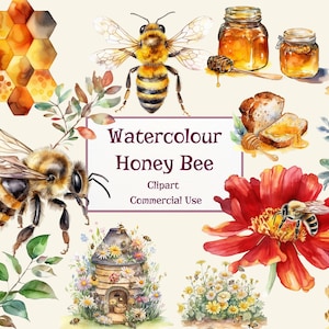 Watercolour Honey Bee Clipart | Spring Garden Honey Bee Bundle | Honey PNG | Full Commercial Use | Instant Dwonload
