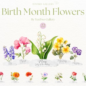 Geburtsmonat Blumen Clipart, Aquarell Geburtsblumen Sublimation, Babyshower Floral png, Blumen Clipart, Rose, Seerose, Taufe Blumen