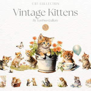 Clipart de gatinhos vintage, sublimação de gato em aquarela, gatinhos fofos PNG, clipart de gato fofo, doodle de animal, clipart de chá de bebê, animais de bebê