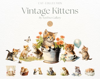 Clipart de gatinhos vintage, sublimação de gato em aquarela, gatinhos fofos PNG, clipart de gato fofo, doodle de animal, clipart de chá de bebê, animais de bebê