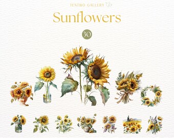 Könnte beinhalten: Aquarellillustrationen von Sonnenblumen in verschiedenen Arrangements. Das Bild zeigt einzelne Sonnenblumen, Sträuße und Kränze mit leuchtend gelben Blütenblättern und grünen Blättern. Der Text "Sunflowers 30" ist oben zu sehen.