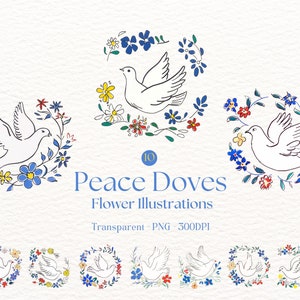 Clipart colombes de la paix, illustrations florales de colombe de la paix, graphiques colombe de la paix blanche, rameau d'olivier, symbole de paix, dessin au trait, colombe PNG