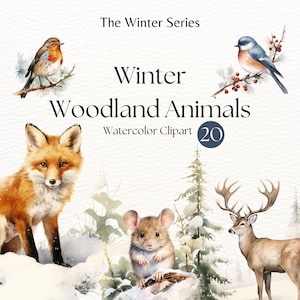 Pacchetto Clipart Animali del bosco invernale / Clipart acquerello / Sublimazione invernale / Animali invernali / Acquerello vintage / Scrapbooking /