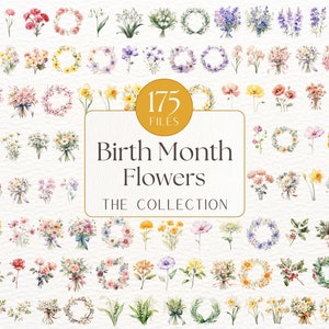 175 Geburtsmonat Blumen Clipart, Geburtsblume PNG, Geburtsmonat Blumenstrauß, Muttertagsgeschenk, Aquarell Geburtsmonat Blumen, Blumen