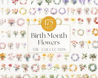 175 Birth Month Flower Clipart, Birth Flower PNG, Birth Month Flower Bouquet, Mother's Day Gift, Watercolor Birth Month Flowers, Floral