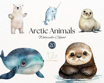 Acuarela Animales Árticos Clipart / Lindos Animales Árticos PNG / Oso Polar, Ballena, Nutria, Foca, Clipart / Animales de Invierno / Diario Basura