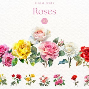 Aquarell-Rosen-Clipart, Blüten-Blumengrafiken, Rosenstrauß-Clipart, romantische Rosen-Illustrationen, Hochzeits-Clipart-Bundle, Flowercore