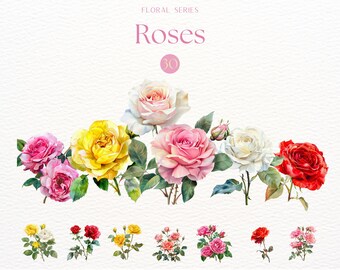 Watercolor Roses Clipart, Blossom Floral Graphics, Rose Bouquet Clipart, Romantic Rose Illustrations, Wedding Clipart Bundle, Flowercore