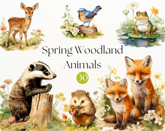 Spring Woodland Animals Clipart | Watercolor Clipart | Spring Sublimation | Spring Animals | Cute Forest Animal Clipart | Cottagecore Art