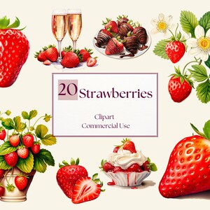 Strawberries Clipart Bundle | Strawberry PNG | Full Commercial Use | Fruit Sublimation with Instant Download | Strawberry Art