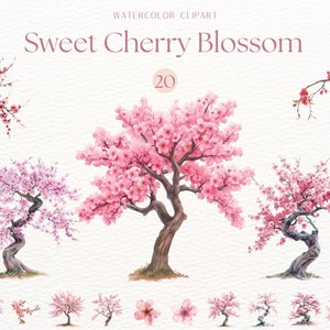 Aquarell Kirschblüten Bäume Clipart, japanische Kirschbäume, Kirschblumen, rosa Kirschbaum png, Kirschblütenbäume, japanische Clipart