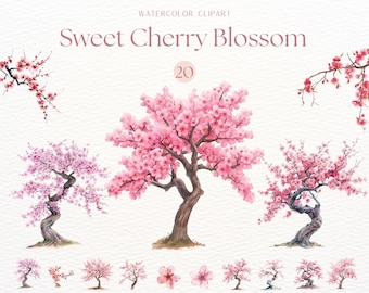 Aquarell Kirschblüten Bäume Clipart, japanische Kirschbäume, Kirschblumen, rosa Kirschbaum png, Kirschblütenbäume, japanische Clipart