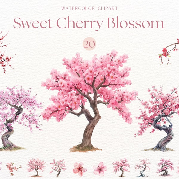 Watercolor Cherry Blossom Trees Clipart, Japanese Cherry Trees, Cherry Flowers, Pink Cherry Tree png, Cherry Bloom Trees, Japanese Clipart