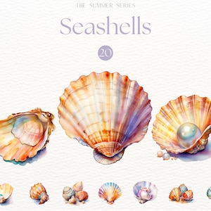 Akvarell snäckskal Clipart, strand Clipart, snäckskal PNG, strandsublimering, skaldjur, snäckskal Clipart, kustdekor, sommarstrand