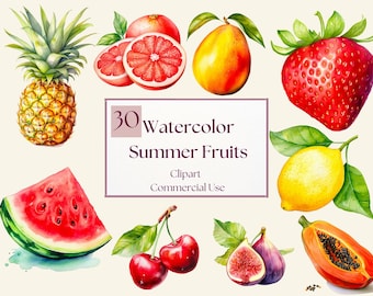 Aquarell Sommerfrüchte Clipart Bundle | Obst PNG | Tropische Früchte | Vollständige kommerzielle Nutzung | Beeren Clipart | Sofortiger Download