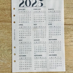 PRINTABLE - 2025 Year at a Glance Dashboards | Cash Binder Dashboard ...