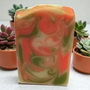 May include: A rectangular bar of handmade soap with a swirled design of red, green, and cream colors. The soap is in front of several small potted succulents.