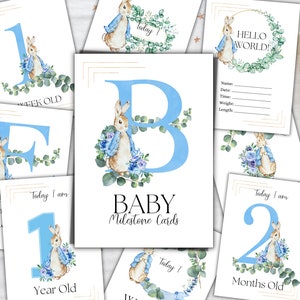 Cartes de lapin Baby Milestone, Art bleu et vert, ensemble de 33, jalon de bébé imprimable, photo de bébé nouveau-né, jeu de cartes Milestone, Instant Downland