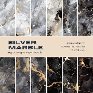 12 Silber Gold Marmor Digitales Papier, Marmor Stein Textur, Schwarz Marmor Textur, Gold Adern Hintergrund, kommerzielle Nutzung, digitaler Download