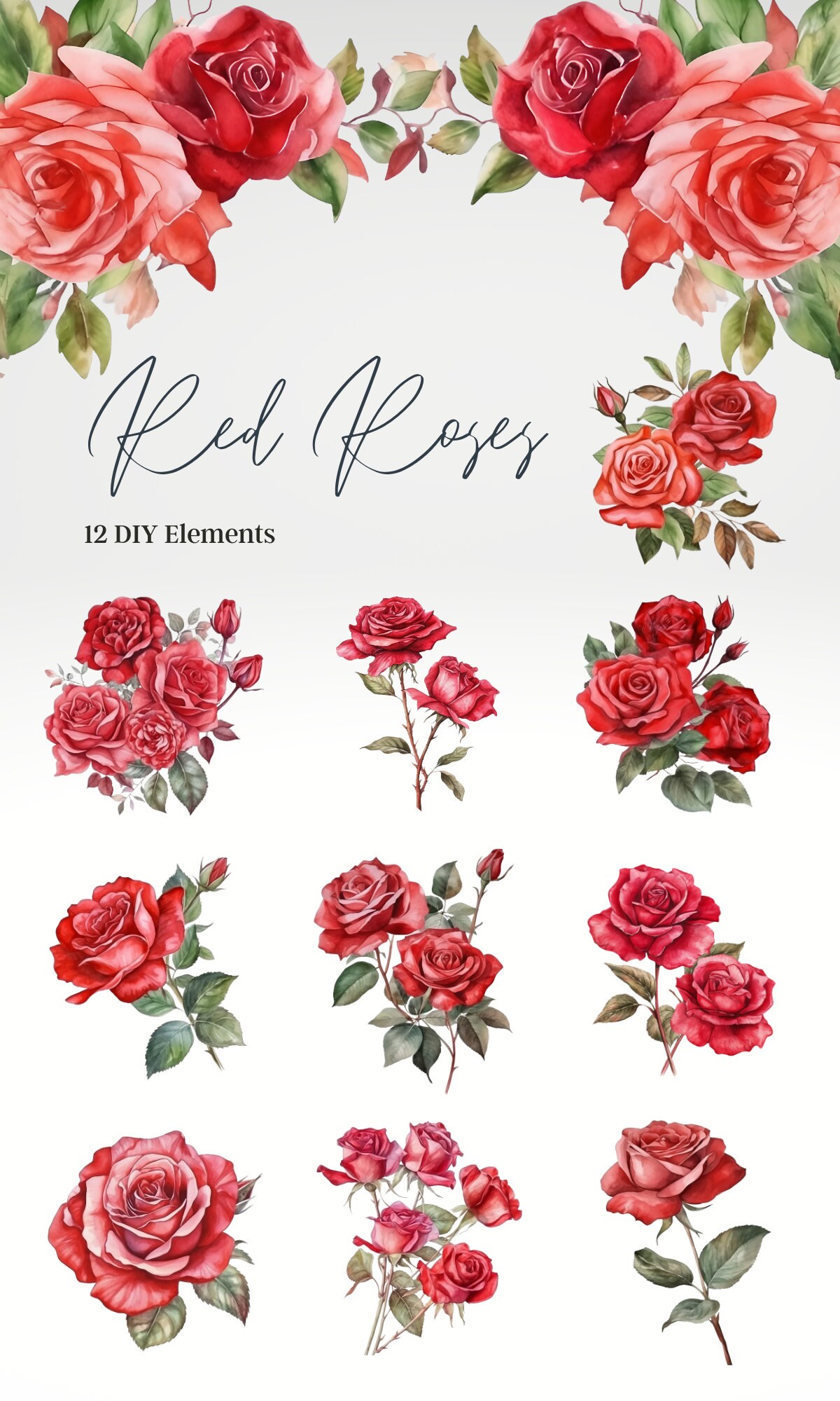 18 Watercolor Red Roses Clipart Red and Blush Flowers Floral Clipart