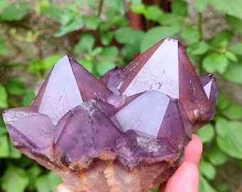Amethyst Cluster Beutiful Natural Mineral specimen
