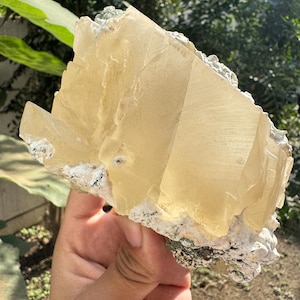 May include: A raw mineral specimen featuring a large, translucent, pale yellow calcite crystal formation with sharp, angular edges. The crystal is attached to a rough, white and grey rocky matrix base with visible crystalline textures.