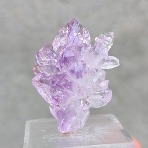 以下が含まれることがあります： 紫と透明な色の変化があるアメジストの結晶の塊。結晶は塊状に配置され、尖った形をしています。