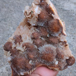 Könnte beinhalten: Eine natürliche Mineralprobe mit einer Kombination aus Kristallformationen und braunen, flauschigen Clustern. Die Probe hat eine hellbeige Basis mit klaren, kristallinen Strukturen und dunkelbraunen, kugelförmigen Formationen.