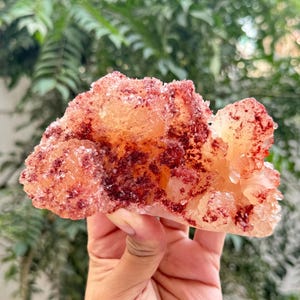 May include: A raw mineral specimen featuring a cluster of translucent, pale orange crystals with deep red, granular inclusions scattered across the surface. The crystalline structure is irregular and jagged, displaying a mix of smooth and rough textures.