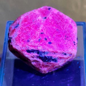 May include: A large, deep pink ruby crystal with a rough, faceted surface. The crystal is displayed on a blue background.