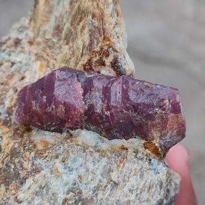 Puede incluir: Una gema de rubí en bruto, sin cortar, de color rojo intenso, que descansa sobre una matriz de roca rugosa y multicolor. El rubí muestra facetas naturales y una estructura cristalina. La roca circundante tiene tonos beige, marrón y blanco.