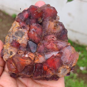 May include: A cluster of deep red and dark burgundy crystalline points with a rough, textured base. The mineral specimen features translucent, multifaceted surfaces that vary in color intensity, ranging from bright crimson to dark, opaque purple tones.
