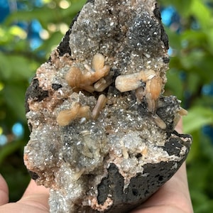 Könnte beinhalten: Ein Mineralexemplar mit einer dunklen, porösen vulkanischen Gesteinsbasis, die mit einer Ansammlung kleiner, funkelnder, durchscheinender Kristalle bedeckt ist. Mehrere größere, längliche, blass pfirsichfarbene Kristalle sind in der Mitte eingebettet.