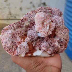 May include: A raw mineral specimen featuring a cluster of fibrous, coral-like formations in shades of dusty rose, deep burgundy, and creamy white. The surface has a textured, crystalline appearance with dense, radiating needle-like structures.