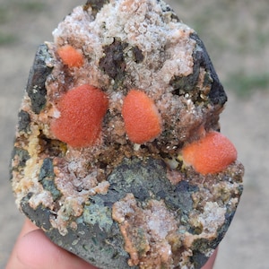 Könnte beinhalten: Ein Mineralexemplar mit einer dunkelgrauen, texturierten Gesteinsbasis, die mit Ansammlungen kleiner, durchscheinender weißer Kristalle und mehreren markanten, abgerundeten, leuchtend orangefarbenen Formationen mit körniger Oberfläche bedeckt ist.