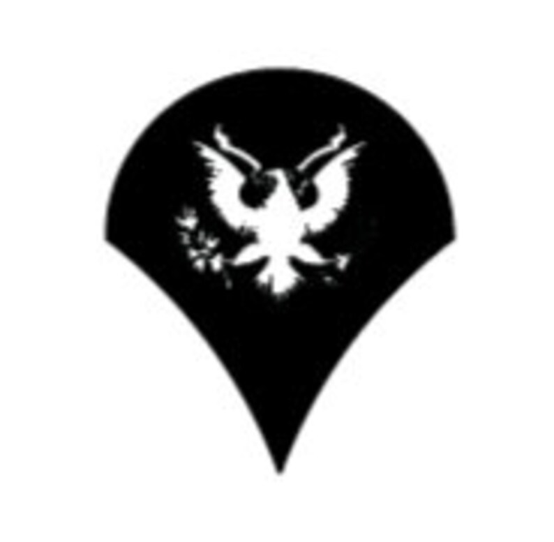 US Army Enlisted Rank Insignia Decal Sticker Vinyl - Etsy Australia