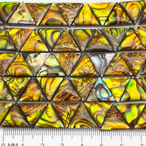 23 Beads, Paua Abalone Shell, 12X15mm Triangle, Natural Pearl/Shell, Jewelry Making, Two Sided Gold Finish, High Luster Paua Shell