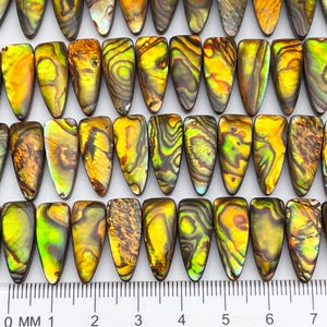 24 Beads, Paua Abalone Shell, 8X19mm Tongue Top Drill, Natural Pearl/Shell, Jewelry Making, Two Sided Gold Finish, High Luster Paua Shell