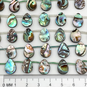 May include: A strand of iridescent abalone shell beads in a teardrop shape. The beads are strung on a clear elastic cord and measure approximately 1.5 cm in length.