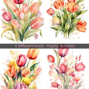 Tulpe Illustrationen Bundle, Aquarell Blumen Designs, digitale Downloads, Tulpe Blume, PNG, Tulpe Clipart, Sublimationsdrucke, Hochzeitskarten