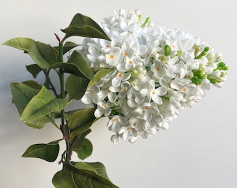 Artificial real touch white Lilac