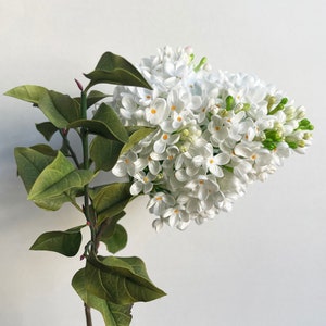 Artificial real touch white Lilac