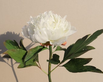 Fiore artificiale di peonia Real Touch Peonie Le Cygne Ivory