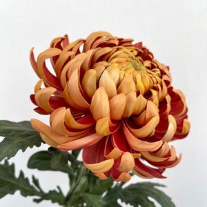 Künstlicher Real Touch Tom Pearce dunkel Chrysanthemum Indicum Grp geplozen