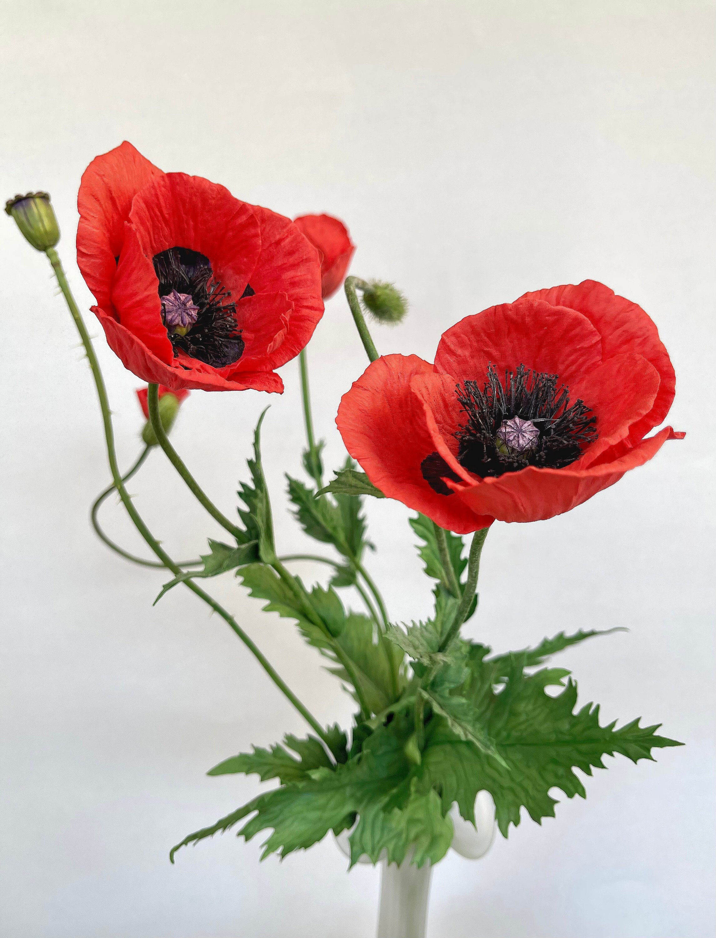 Artificial Poppies Flowers Gorgeous Silk Papaver Rhoeas Flocking Stem Bouquet - Foto 5