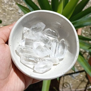 Può includere: Una piccola ciotola bianca piena di cristalli di quarzo trasparenti. La ciotola è appoggiata su una mano, e lo sfondo è una pianta verde.