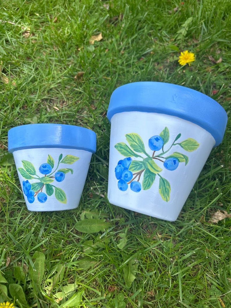 Handpainted Plant Pots Fruit Themed Summer Themed Cute Gifts for ...