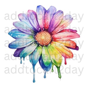 Marguerite svg, svg fleur Marguerite, png Marguerite, fleur Png, printemps Marguerite Png, Marguerite Sublimation, téléchargement immédiat, Marguerite Sublimation, Marguerite Clipart