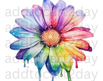 Daisy svg, daisy flower svg, daisy png, Flower Png, Spring Daisy Png, Daisy Sublimation, Instant Download, Daisy Sublimation, Daisy Clipart